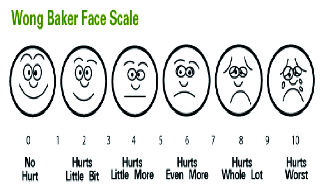 Sedation score.