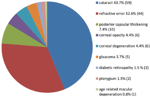 Causes of visual impairment in the study population.