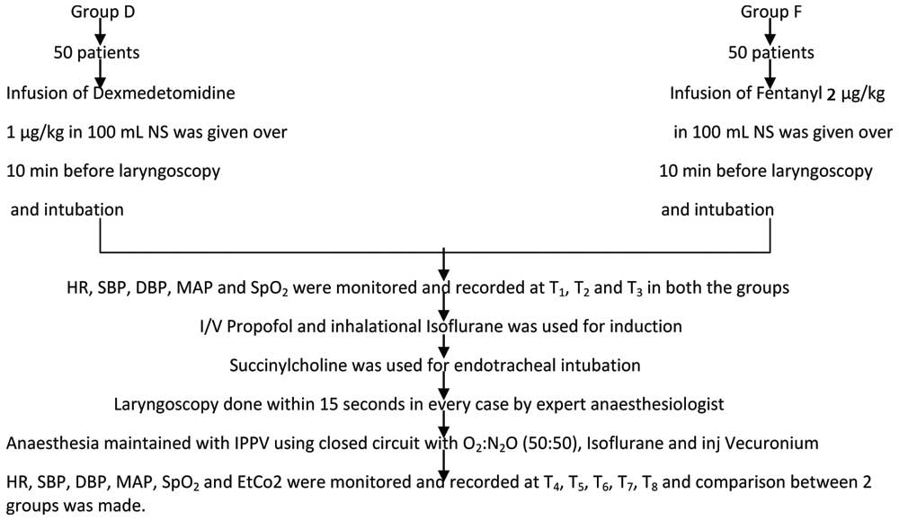 Neostigmine 50 g kg And Glycopyrrolate 10 g kg Intravenously Were