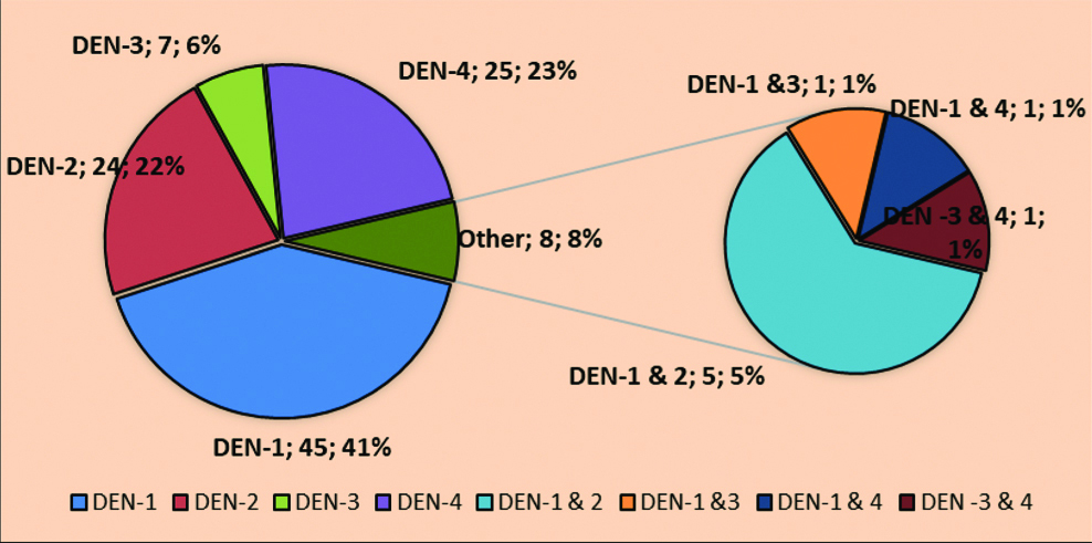 Serotype distribution of dengue cases in Saurashtra region.