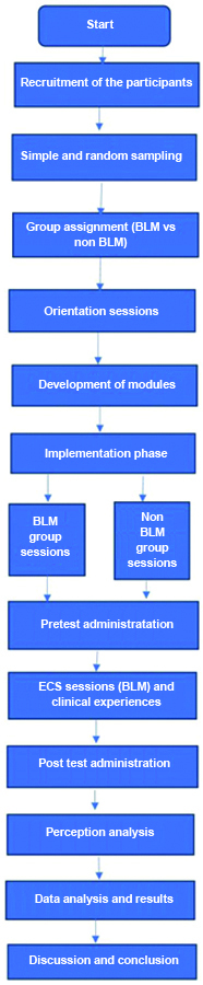 Blended Learning Methodology (BLM) Customisations: