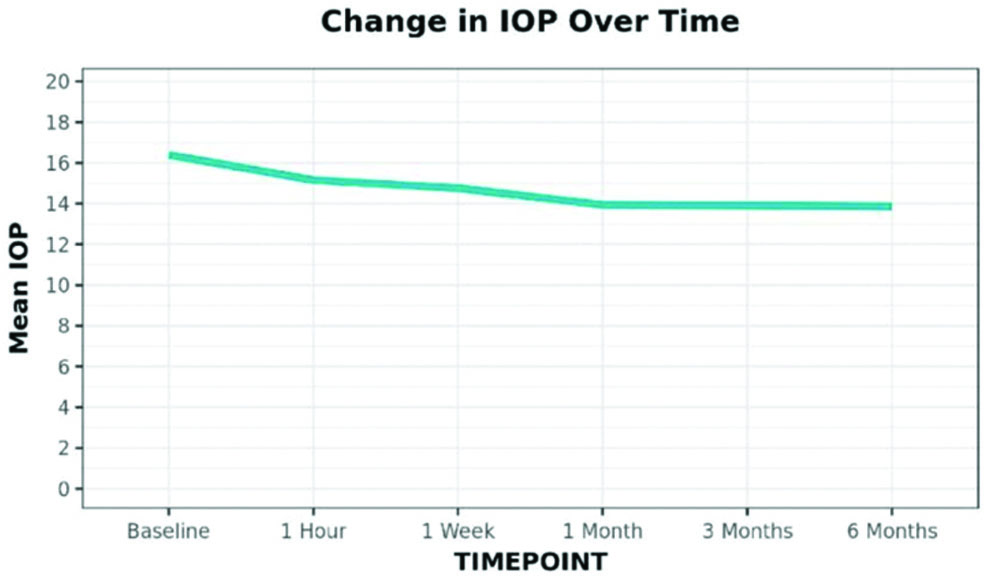 Iop Example Rims Discussion