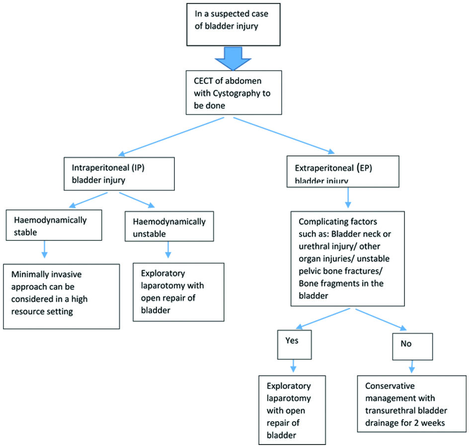Treatment approaches for suspected bladder trauma [ 3 ].
