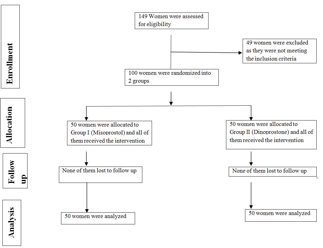 Demography and maternal characteristics