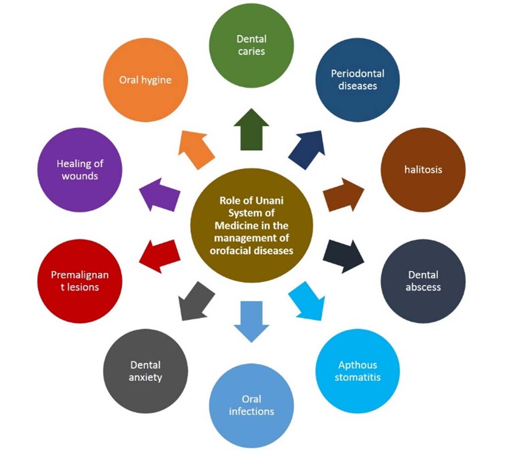 Showing clinical implications of various unani herbs in the management ...