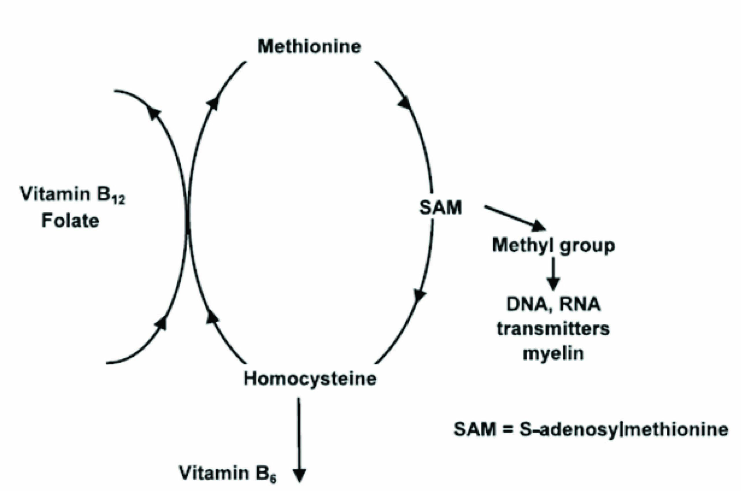 Methyl folate