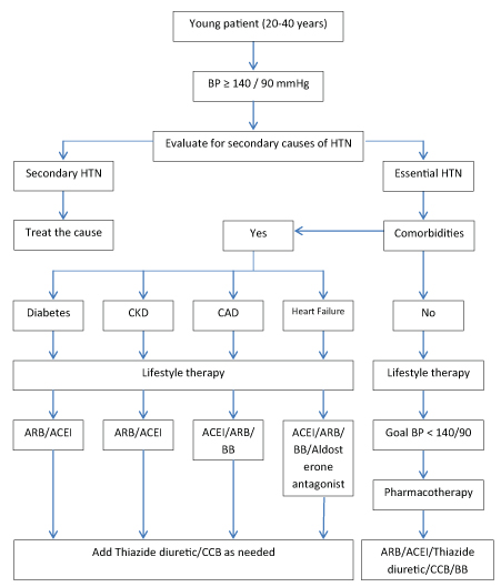 Labile Htn Algorithm Summary of expert opinion